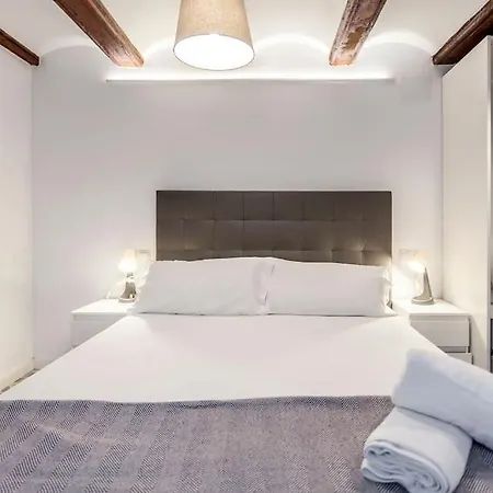 Exclusivo Apt. En Centro Historico - Ac - Wifi Apartment *