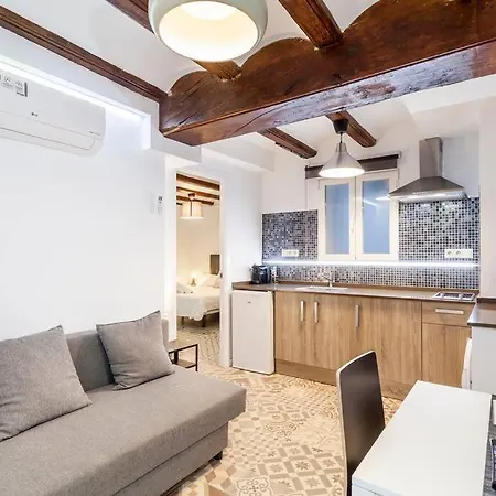 Daire Exclusivo Apt. En Centro Historico - Ac - Wifi Valensiya